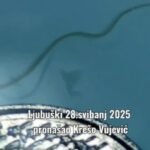 VIDEO: Ugor težak 1.30 kg ulovljen u vodama između Kravice i Koćuše
