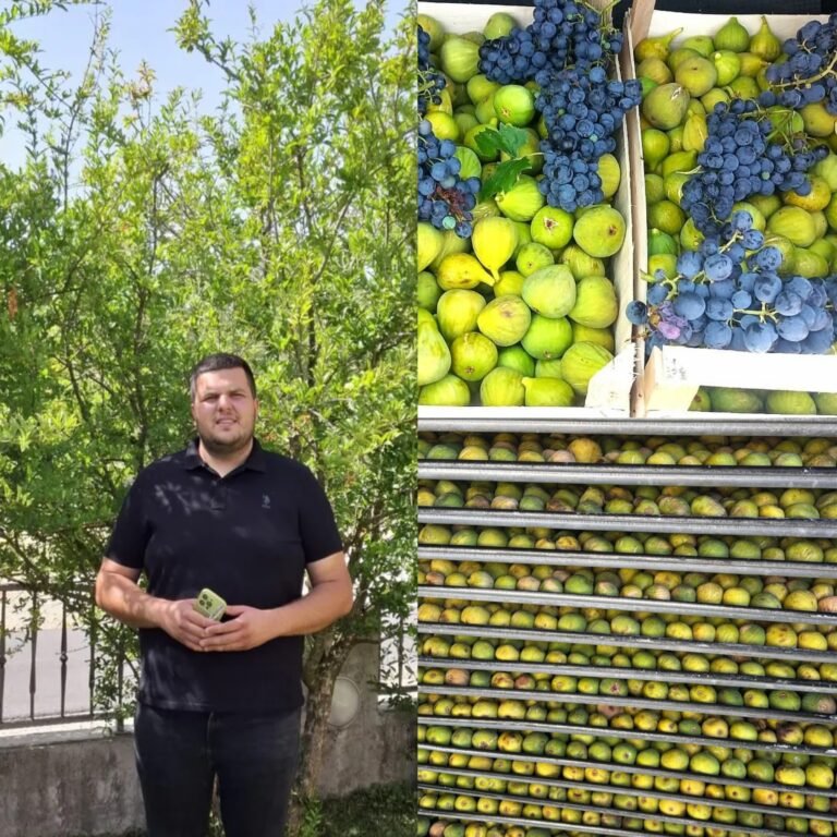 Vrijeme je za hercegovačko grožđe i smokve, ali i korisne savjete inženjera poljoprivrede Marka Bilića