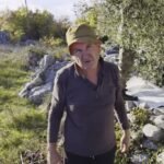 Čudo iz Grljevića: Kako je Drago Čolak iz hercegovačkog kamena stvorio maslinik s 1000 stabala